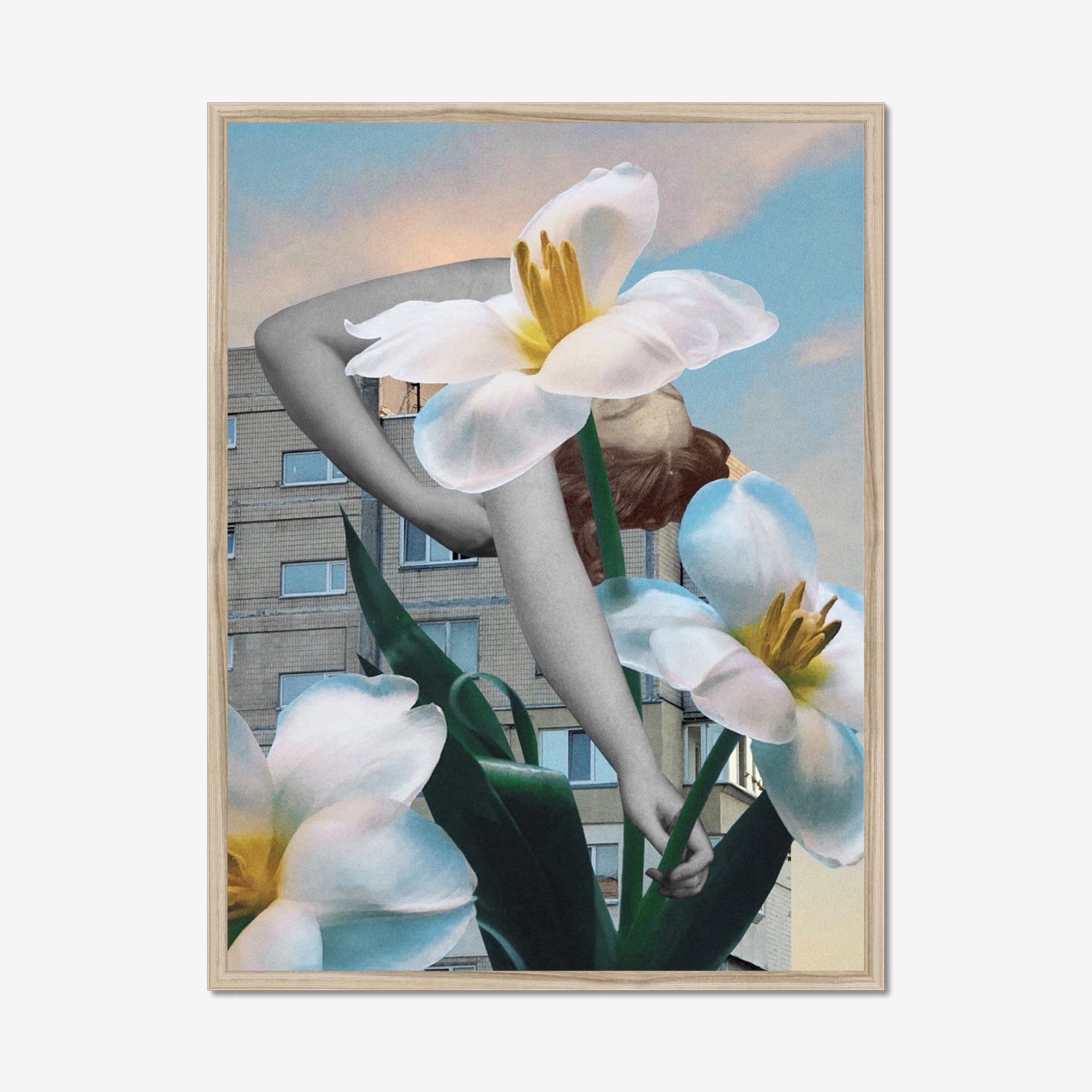 Daffodils
